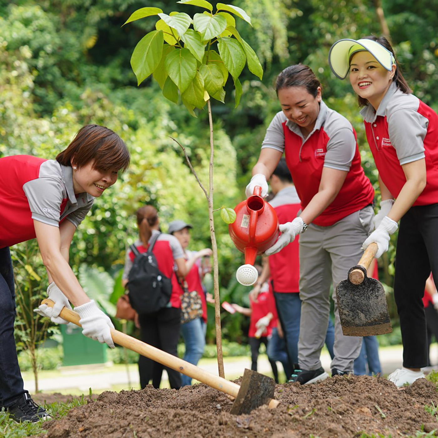 Plant a tree with National Parks Board