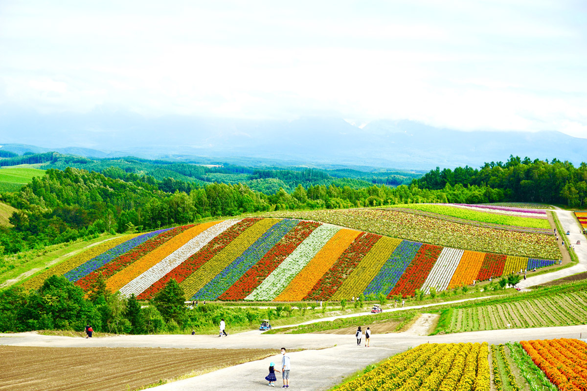 A Hokkaido road trip will take you to various scenic locations.