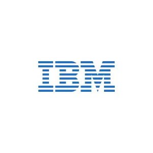 Group Programmes 19 IBM-150x150
