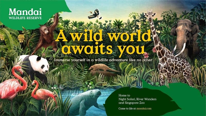 Mandai Wildlife Reserve 1 Mandai Wildlife Reserve 4