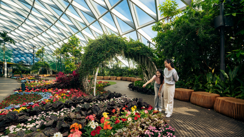 Jewel Changi Airport 3 2