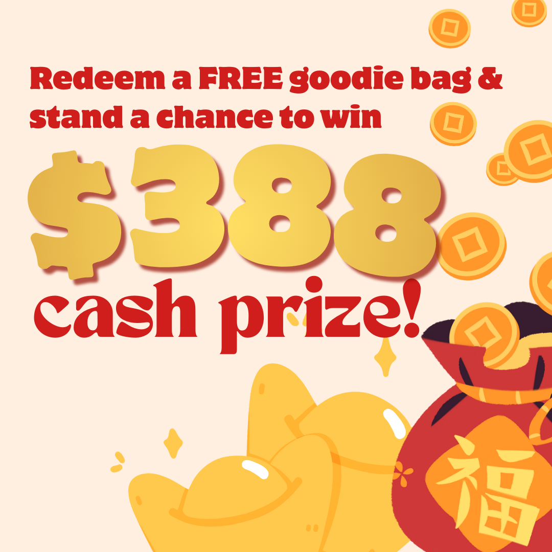 HomeTeamNS GX Fit 24 2