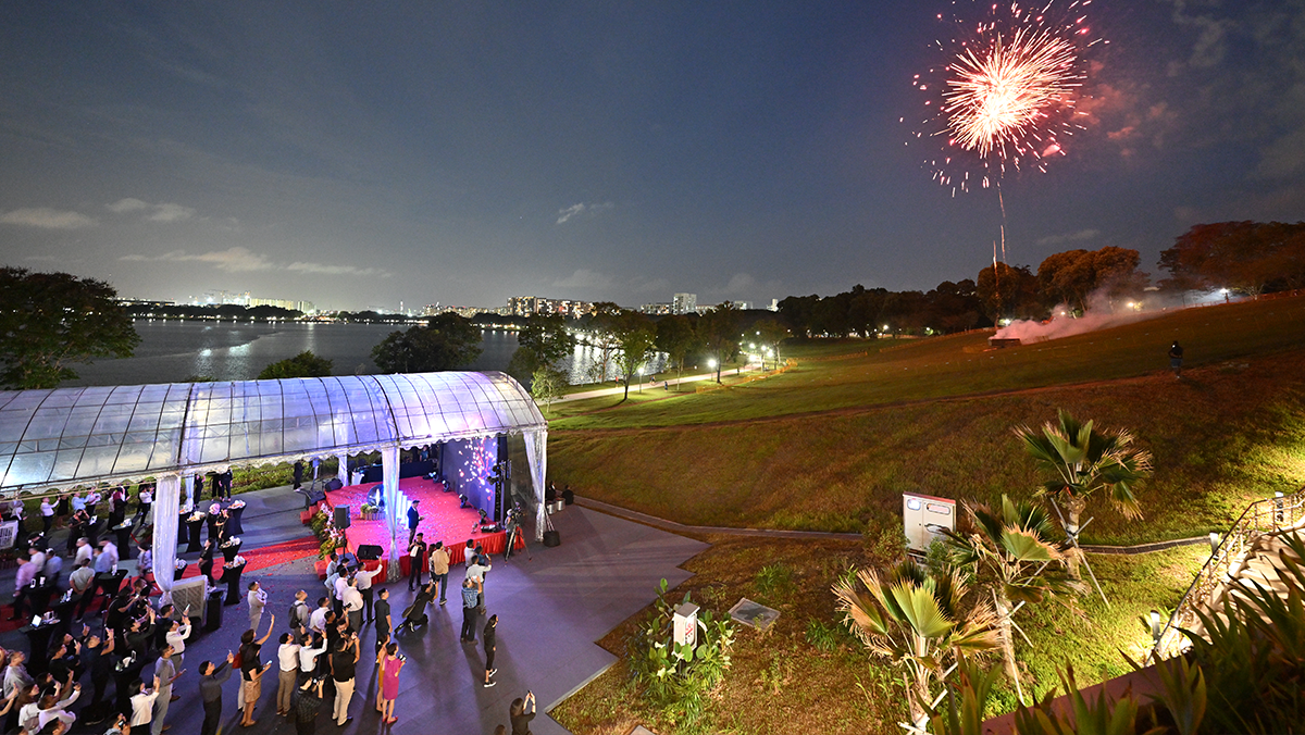 HomeTeamNS 20th Anniversary 11 bedok-fireworks.png