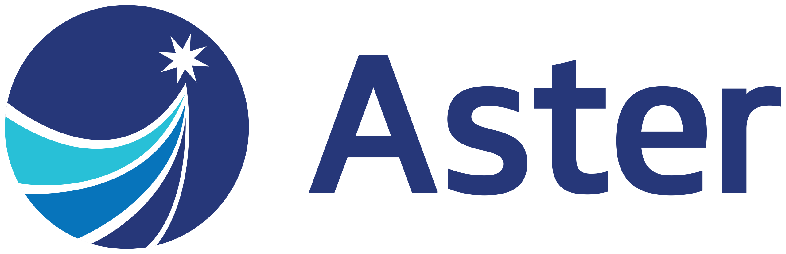 Light The Way Forward Aster Logo 2m length CMYK 01 scaled