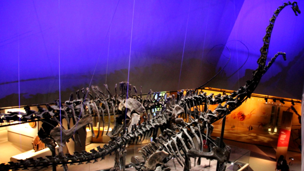 Lee Kong Chian Natural History Museum Singlife 2024 Clubhouse Screen 1