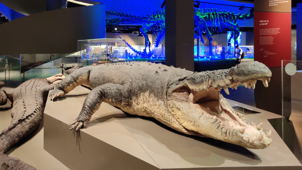 Lee Kong Chian Natural History Museum Singlife 2024 Clubhouse Screen 3