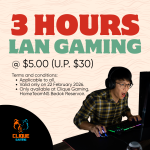 Chinese New Year 2026 47