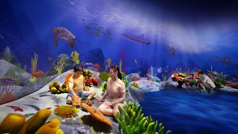 Curiousity Cove (Mandai Wildlife Reserve) 4 Curiousity Cove (Mandai Wildlife Reserve)