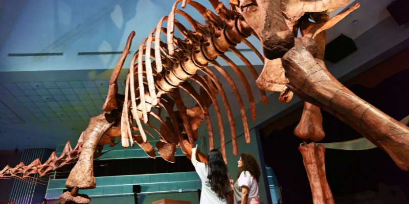 Science Centre Singapore HTNS Dedicated Webpage 800 W X 450 H px 1