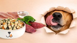 Bedok Reservoir Clubhouse 31 Bedok Reservoir Clubhouse HometeamNS 800x450 copy