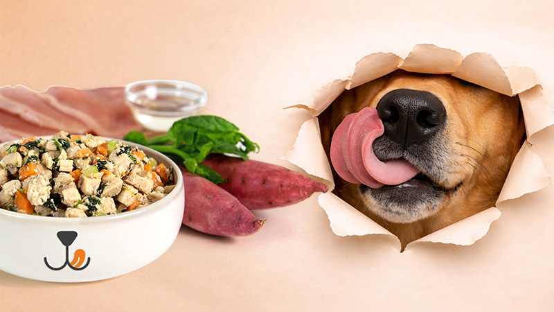 Furry's Kitchen HometeamNS 800x450 copy