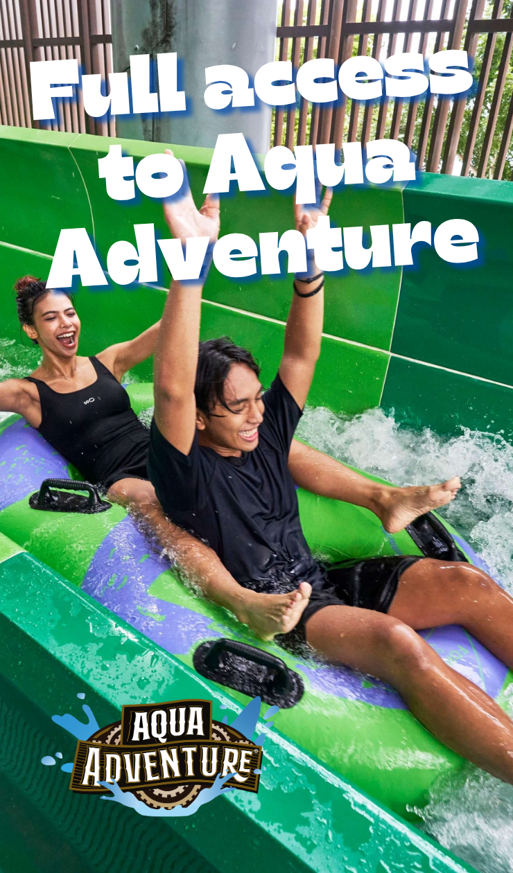 Dip' N Splash 2026 at HomeTeamNS Bedok Reservoir 12 6